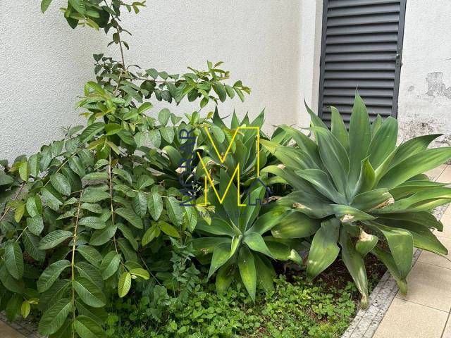 #MI2259 - Apartamento para Venda em Belo Horizonte - MG - 1