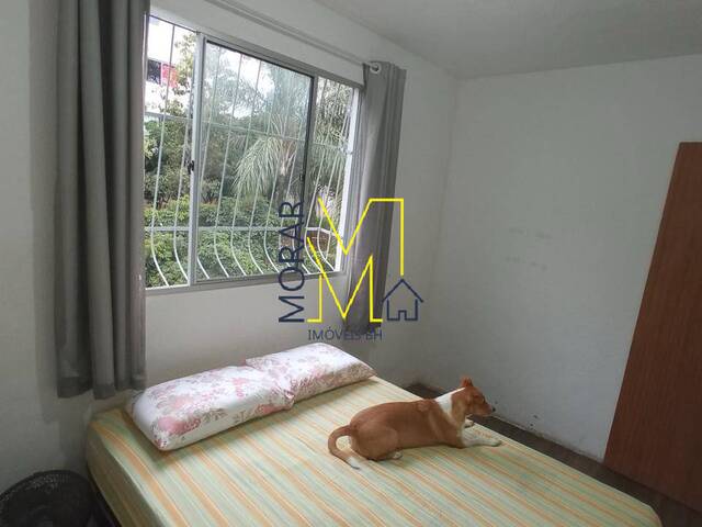Apartamento para Venda em Belo Horizonte - 5