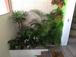Casa para Venda em Belo Horizonte - 3