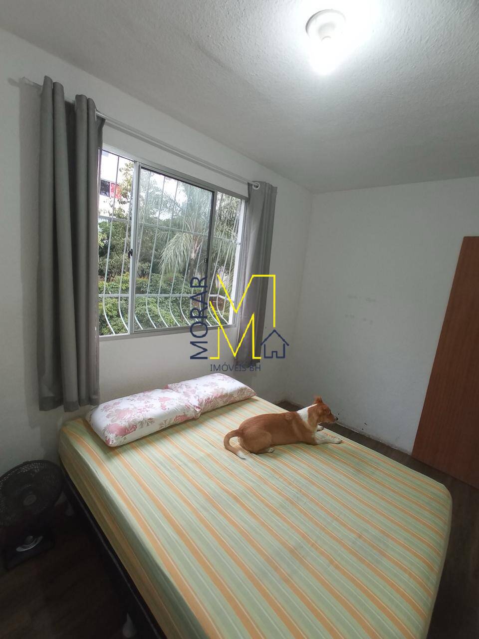 Apartamento, 2 quartos, 55 m² - Foto 5